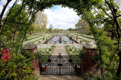 Look inside the White Garden, which will be open to the public free of charge until September. The White Garden at Kensington Palace....for Diana Princess Diana Memorial, Kensington Palace Gardens, Diana Memorial, Sunken Garden, Palace Garden, Princes Diana, Classic Garden, Royal Residence, Royal Garden