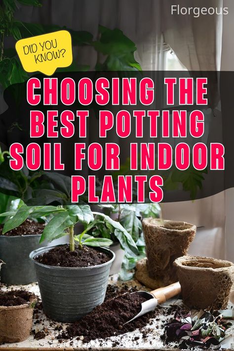 Best Potting Soil for Indoor Plants Potting Soil For Indoor Plants, Soil For Indoor Plants, Plants In Containers, Plant Care Houseplant, Root Rot, Insect Pest, Prayer Plant, Natural Ecosystem, Soil Testing