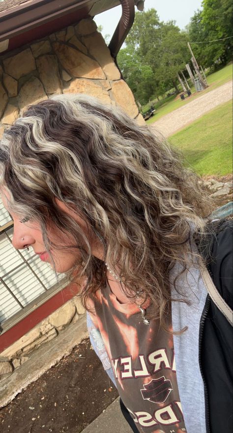 Brown Hair With Chunky Highlights Curly, Chunky Highlight On Curly Hair, Brunette Hair With Highlights Curly, Chunky Dark Brown Highlights, Curly Hair Dyed Blonde Highlights, Skunk Stripe Hair Dye Curly Hair, Skunk Blonde Hair, Blonde And Dyed Hair, Blonde And Brown Hair Color Curly