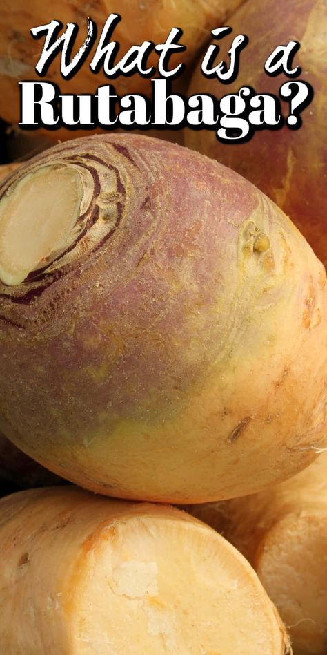 What is Rutabaga and How To Cook It is an informative article to help you try this vegetable if you have never before or to try it in new ways. Rutabaga Recipes Instant Pot, What To Do With Rutabaga, How To Cook Rutabaga Recipes, Rutabaga And Carrot Recipes, Cooking Rutabaga, Rutabaga Recipes Southern, Rutabagas Recipe, Instant Pot Rutabaga, Rudabega Recipes