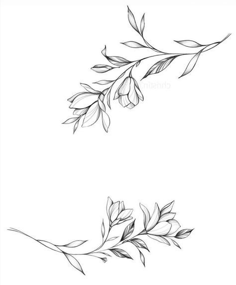 Rose Branch Tattoo, Botanical Shoulder Tattoo, Garland Tattoo, Secret Tattoos, Tattoo Chart, Clavicle Tattoo, Secret Tattoo, Vine Drawing, Artsy Tattoos