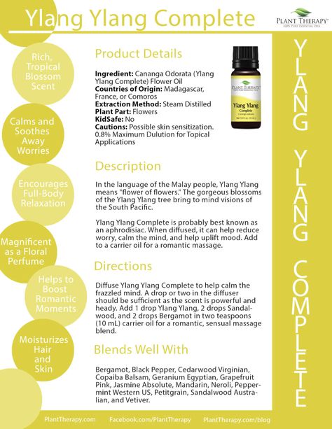 Our Top 4 Ways to Use Ylang Ylang Complete - Plant Therapy Blog Madam Pomfrey, Ylang Ylang Essential Oil Benefits, Plants Benefits, Unscented Body Wash, Essential Oil Aphrodisiac, Massage Oil Blends, Plant Therapy Essential Oils, Hoodoo Spells, Healing Candles