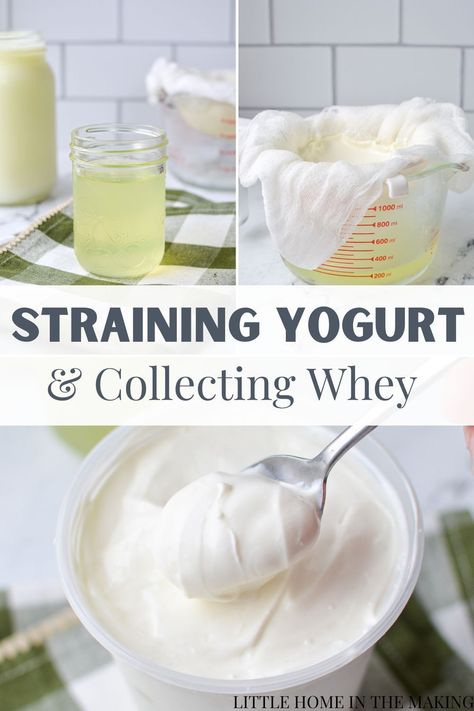 Yogurt Diy Homemade, Homemade Yogurt Starter, Make Yogurt, Traditional Eating, Homemade Cheeses, Turkish Yogurt, Yogurt Making, Homemade Yogurt Recipes, Diy Yogurt