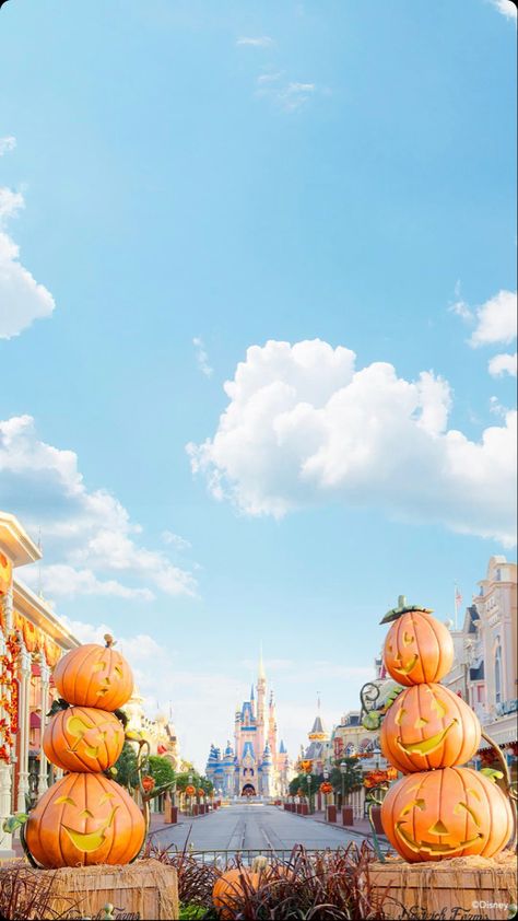 Disneyworld Main Street during fall/Halloween Disney World Halloween, Perfect Fall Day, Disney Iphone, World Wallpaper, Iphone Wallpaper Fall, Disney Phone Wallpaper, Halloween Wallpaper Iphone, Watch Wallpaper, Wallpaper Iphone Disney