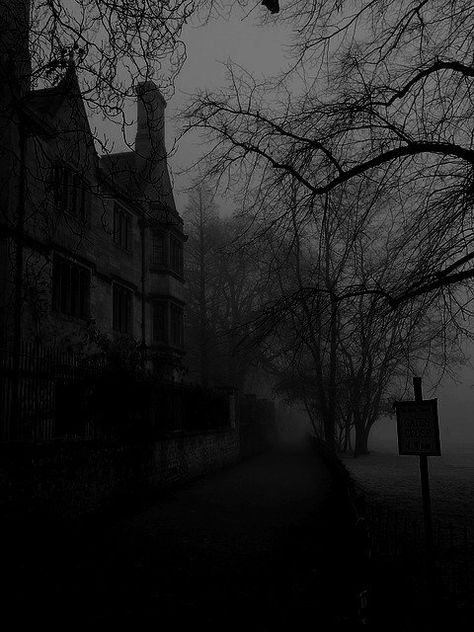 This house is haunted Dark Naturalism, Darkness Falls, Slytherin Aesthetic, Dark Paradise, 다크 판타지, Gothic Aesthetic, Gray Aesthetic, Dark Academia Aesthetic, Dark Places