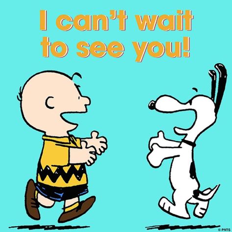 Charlie Brown Quotes, Snoopy Funny, Snoopy Images, Peanuts Cartoon, Charlie Brown Snoopy, Snoopy Quotes, Snoopy Pictures, Snoop Dog, Snoopy Love