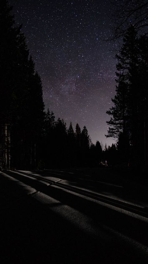 Aethstetic Wallpaper Dark, Midnight Asethic, Dark Aestethic Wallpaper, Dark Sky With Stars, Black And White Quotes Tumblr, Starry Sky Aesthetic, Starry Aesthetic, Wallpaper Macbook Air, Trees In Fog