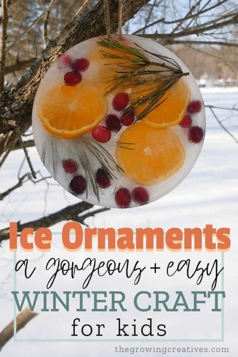 Ice Ornaments, Julkransar Diy, Easy Winter Crafts, Winter Activities For Kids, Winter Craft, Winter Crafts For Kids, Nature Crafts, Winter Fun, Winter Crafts