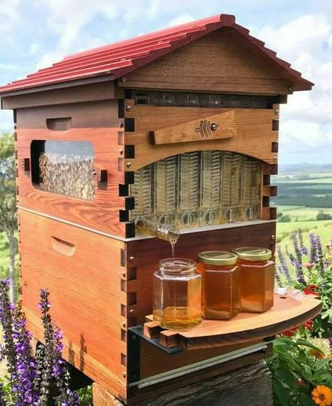 Flow Hive, Bee Hive Plans, Backyard Bee, Bee Friendly Garden, Backyard Beekeeping, Honey Bee Hives, Future Farms, Bee Farm, Bee Hives