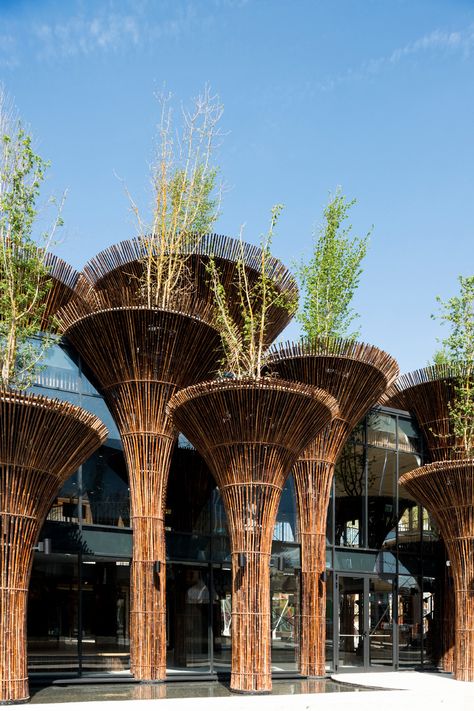 Gallery of Vietnam Pavilion - Milan Expo 2015 / Vo Trong Nghia Architects - 13 Vtn Architects, Serpentine Gallery Pavilion, Vo Trong Nghia, Bamboo Building, Italy Images, Bamboo Structure, Bamboo Architecture, Bamboo Construction, Bamboo House