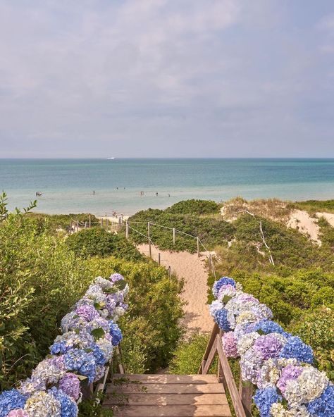 Yankee Magazine on Instagram: “Island daydreaming. 🏖️ 🌺 Gray Malin visited Nantucket this week to celebrate his Nantucket photo collection featuring Steps Beach Vista,…” Hydrangea Colors, Gray Malin, Summer Getaway, Framing Photography, Fine Art Photography Print, Coastal Landscape, Photography Prints Art, Media Images, Beautiful Blooms