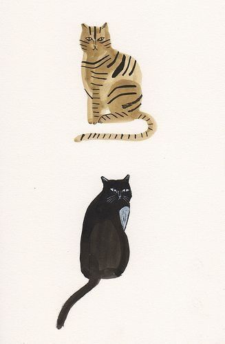 Rat Aesthetic, Lily Cat, Cat Ideas, 강아지 그림, Cats Drawing, Kitty Drawing, Cats Illustration, Funny Cat Pictures, Funny Cat Videos