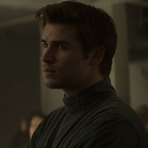 Gale Hunger Games, Team Gale, Gale Hawthorne, Suzanne Collins, Liam Hemsworth, The Hunger Games, The Hunger, High Standards, Smash Book