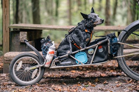 Gravel Bike Bicycles, Surf Bike, Dog Bike, Bike Cargo Trailer, Dog Trailer, Trail Dog, Tactical Truck, Blue Heeler Dogs, Biking With Dog