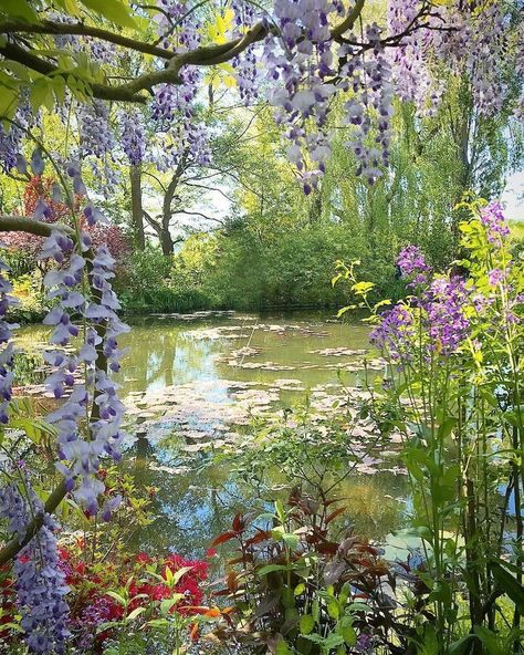 Pretty Landscapes, Lily Pond, Nature Aesthetic, Flowers Nature, Pretty Places, Fantasy Landscape, Dream Garden, Cottage Garden, Pretty Flowers