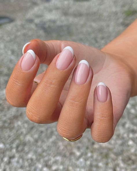 Chels Lou | Milky French 🥛☁️🤍☁️🥛 Base shade - Sheer White French tip - Bright White @glossifyofficial #nails #nailsofinstagram #naildesign… | Instagram Short Nail Shapes, Nail Set Ideas, Best Fall Nail Colors, Autumn Nail, Short Square Nails, Fall Acrylic Nails, Set Ideas, Fall Nail Colors, Pastel Nails