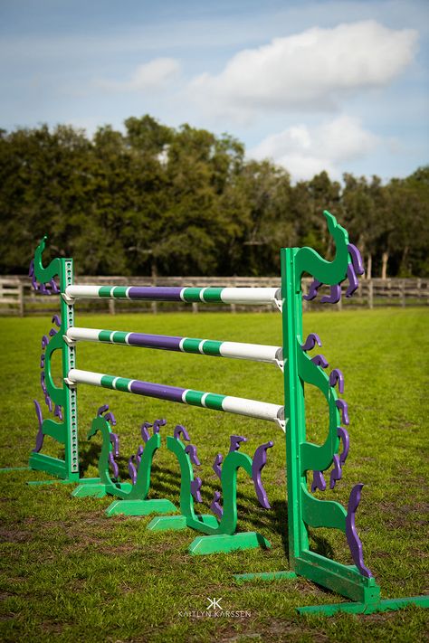 All Products – Page 12 – Dalman Jump Co Horse Jumps Painting Ideas, Horse Jump Pole Designs, Horse Jump Designs, Horse Jump Paint Ideas, Horse Jumps Ideas, Show Jumping Course, Horse Jump Ideas, Jump Standards, Dream Barn Stables