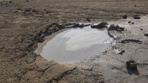 Mud Puddle Bubble Acnh Abandoned, Real References, Mud Puddle, Castle Project, Pretty Life, Muddy Waters, Wings Of Fire, Dieselpunk, Mulan