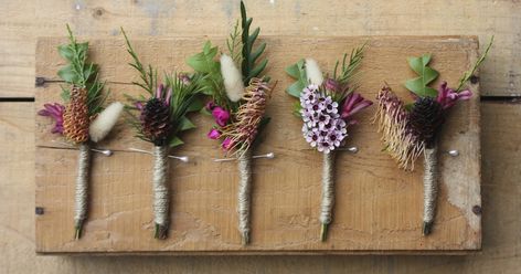 Growing and arranging beautiful Australian Native Flowers and all things Proteaceae. Rustic Boutonniere, Button Holes Wedding, February Wedding, Australian Native Flowers, Wedding Info, Boutonniere Wedding, Small Bouquet, Theme Color, Australian Native