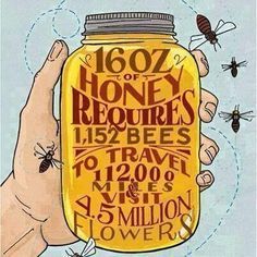 The ultimate guide on how can you save the bees & brands on a mission #pollinators #bees #savingbees Pollinator Garden Design, Raising Bees, Bee Colony, I Love Bees, Bee Keeper, Bee Friendly, Food Security, Pollinator Garden, Bee Art