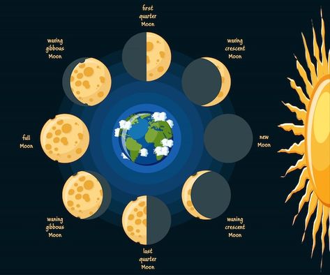 Moon Phase Drawing, Moon Phases Drawing, Eclipse Solar, Moon Eclipse, Lunar Phase, Lunar Eclipse, Earth From Space, Muslim Book, 1st Grade Math