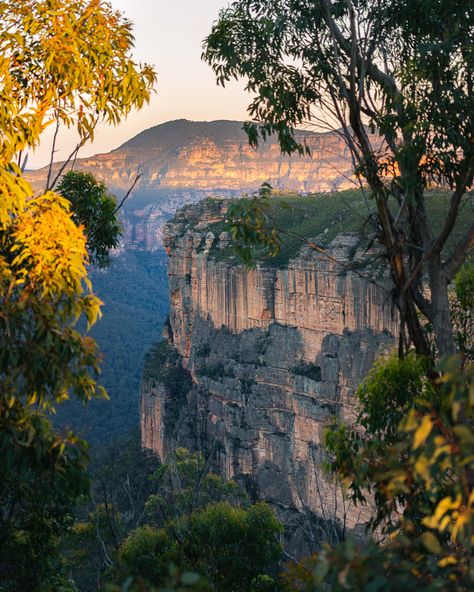 Australia Mountains, Australian Colours, Blue Mountains Australia, Jungle Birds, Heaven's Gate, Australian Painting, Full Time Travel, Mountain Sunset, Sky View