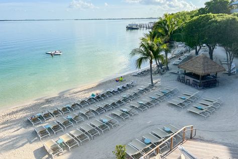 Playa Largo Resort & Spa or Baker's Cay Resort Key Largo: Which beach resort is better? - The Points Guy Playa Largo Resort And Spa, Bakers Cay Resort, Key West Vacations, Resort And Spa, Which Is Better, Florida Keys, Stay The Night, Face Off, Beach Resort