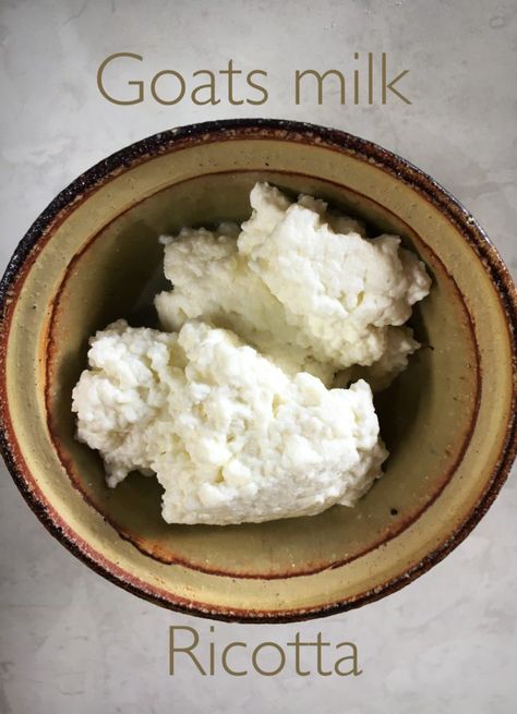 Riccota Cheese Recipes, Goat Milk Yogurt, Cheese Recipes Homemade, Cheese Making Recipes, Goat Milk Recipes, Anti Inflammation Recipes, Lactose Free Milk, Goat Cheese Recipes, Ricotta Recipes