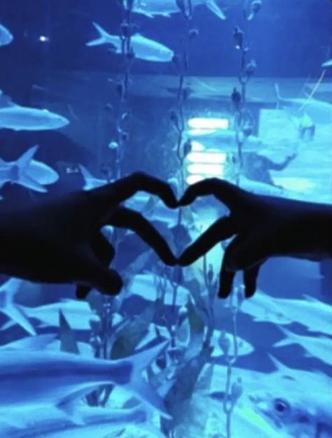 Aquriam Date, Cute Aquarium Pictures, Couple At Aquarium, Aquarium Date Pictures, Aquarium Date Aesthetic Couple, Jakarta Aquarium Aesthetic, Aquarium Date Wlw, Couple Aquarium Pictures, Aquarium Couple Photos