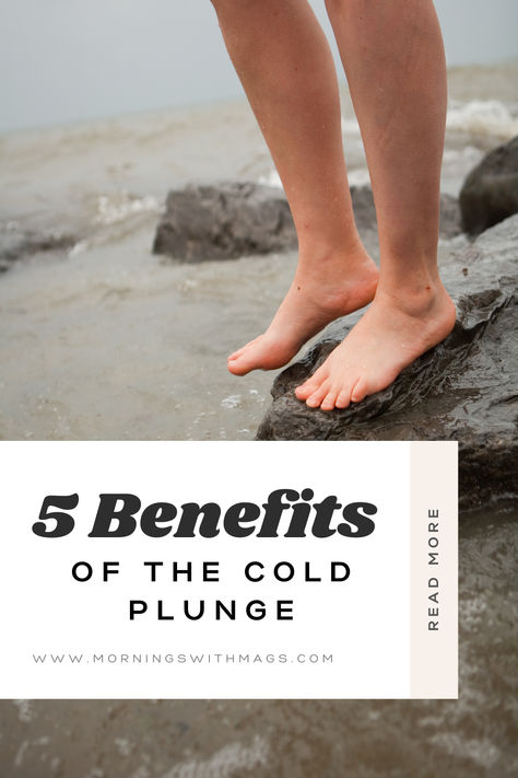 5 Benefits of the Cold Plunge Benefits Of Cold Plunge For Women, Muscle Inflammation, Cold Showers, Dishwasher Pods, Cold Plunge, Ice Bath, My Routine, Ice Baths, Cold Shower