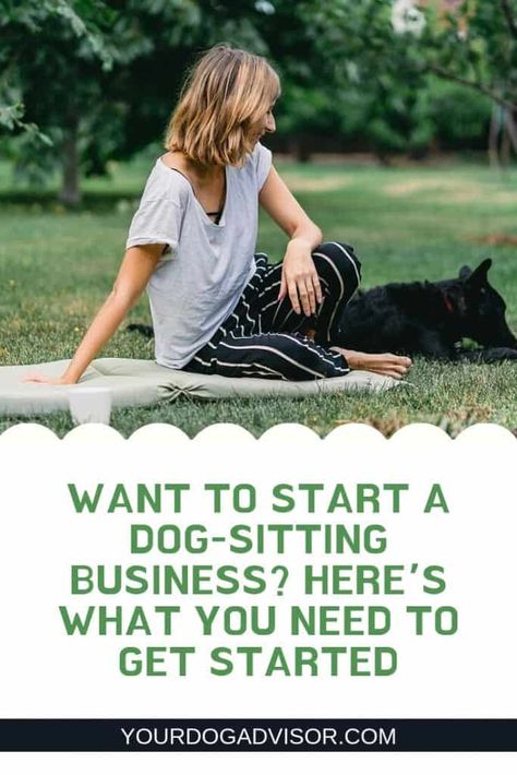 Want to Start a Dog-Sitting Business? Here’s What You Need to Get Started | Your Dog Advisor Kennel Business, Dog Sitting Business, Dog Daycare Business, Daycare Business, Pet Care Business, Pet Sitting Business, Pet Sitting Services, Dog Hotel, Dog School