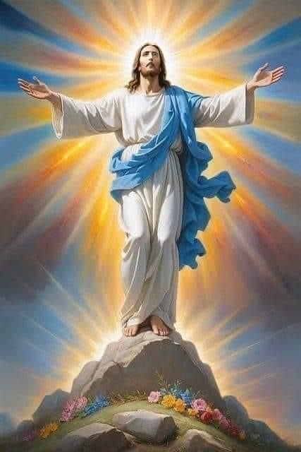 Jesus Images Hd, Jesus Pictures Hd, Jesus Christ Portrait, Jesus Tomb, Jesus Christ Painting, Religious Artwork, Pictures Of Christ, Jesus Christ Artwork, Jesus And Mary Pictures