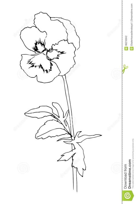 Black Hand Drawn Pansy Flower. Sketch Style. Vector Illustration. Stock Vector - Illustration of painting, graphic: 96216942 Pansy Tattoo, Flower Sketch, Pansy Flower, Flower Outline, Delicate Tattoo, Banner Ideas, Flower Art Drawing, Flower Sketches, Sketch Style