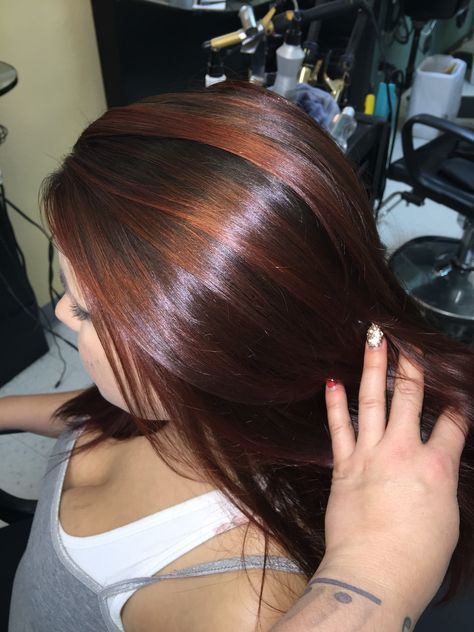 Warm brown copper tones hair Copper Streaks On Black Hair, Ginger Streaks In Black Hair, Brown And Black Hair Two Tone, Ginger With Brown Highlights, Copper Streaks, Dark Copper Red Hair Color Highlights, Red Hair W Highlights, Red Hair Tint, Ginger Hair With Brown Highlights