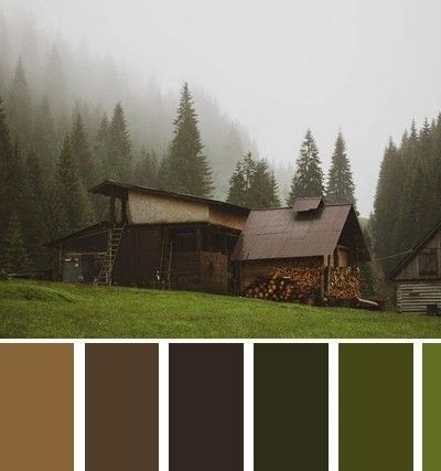 Dark Forest Colour Palette, Scottish Colour Palette, Woodsy Color Palette, Earthtone Color Palette, Woods Color Palette, House Color Themes, Forest Home Aesthetic, Green Brown Palette, Rustic Colour Palette