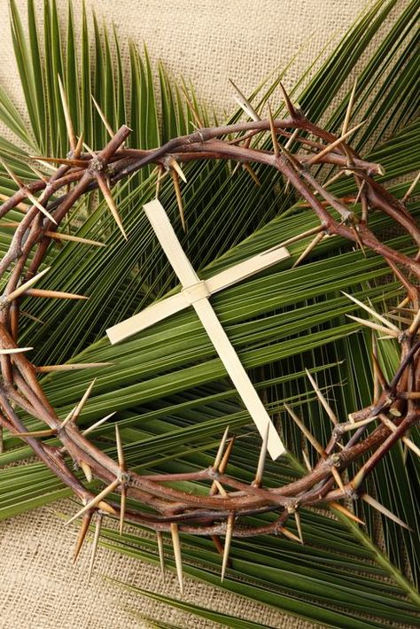 Happy Palm Sunday, Palm Sunday Decorations, Palm Sunday Crafts, Church Altar Decorations, Church Easter Decorations, Resurrection Day, Cross Wallpaper, Jesus Wallpaper, Church Flowers