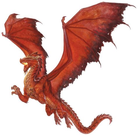 Red dragon flying Dragon Meaning, Chromatic Dragon, Dragon Rouge, Dragon Tales, Dragon's Lair, Dnd Dragons, Cool Dragons, Dragon Pictures, Fantasy Monster