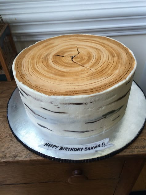 Butch tree cake by Sweet Melissa's cakes for all occasions Wood Look Cake, Groot Cake, Tree Trunk Cake, Birch Cake, Happy Camper Party, Birch Tree Cakes, Tree Stump Cake, Cake Deco Ideas, Cake Jars