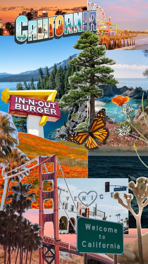 California Aesthetic Collage, California Aesthetic Wallpaper, California Summer Aesthetic, Cali Nails, Home Moodboard, California Collage, Postcard Project, Nails Board, California Wallpaper