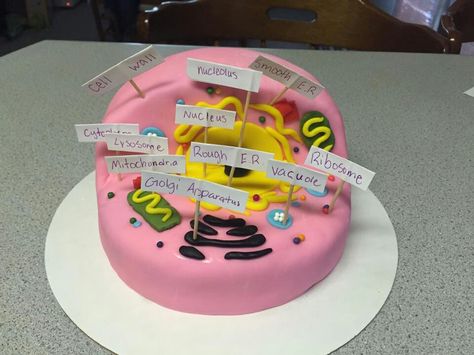 Animal cell cake 3d Animal Cell Cake Project, Animal Cell Cake Project Labeled, Animal Cell Project Cake, Animal Cell Cake, Cell Cake, 3d Animal Cell, Animal Cell Project, Biology Project, Science Cake