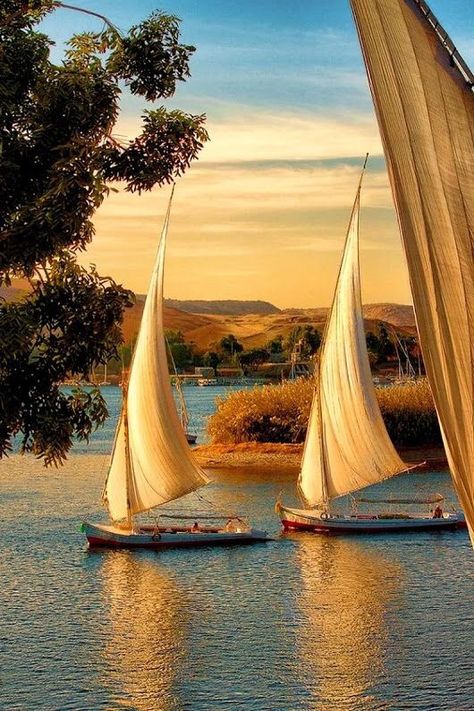 Egypt Aesthetic, Navi A Vela, Build Your Own Boat, Nile River, Boat Art, Egypt Art, Boat Painting, Egypt Travel, Jolie Photo