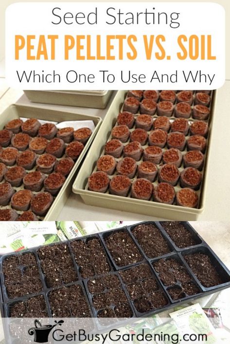 It can be overwhelming for new gardeners to figure out the best seed starting medium to use for growing seeds. This in-depth, side-by-side comparison of seed starting peat pellets vs. soil filled seed trays will help you decide which to use and why, including a list of pros and cons for both methods. Garden Landscaping Design Ideas, Seed Starting Soil, Growing Tomatoes In Containers, Starting Seeds Indoors, Seed Starter, Garden Types, Seed Saving, Garden Containers, Growing Tomatoes