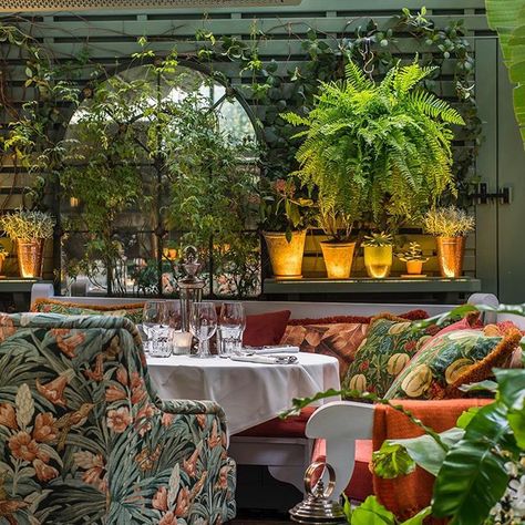 The Ivy Chelsea Garden (@ivychelsgarden) • Instagram photos and videos Ivy Restaurant, The Ivy Chelsea, Chelsea Garden, London Guide, Dinner Restaurants, French Style Homes, Romantic Restaurant, Chelsea London, London Places