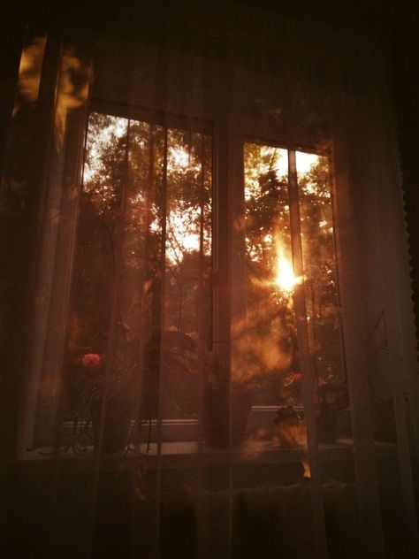 Sunset Through Window, Sunlight Aesthetic, Sunlight Photography, Masashi Kishimoto, Between Two Worlds, All Photo, Orange Aesthetic, Window View, Brown Aesthetic