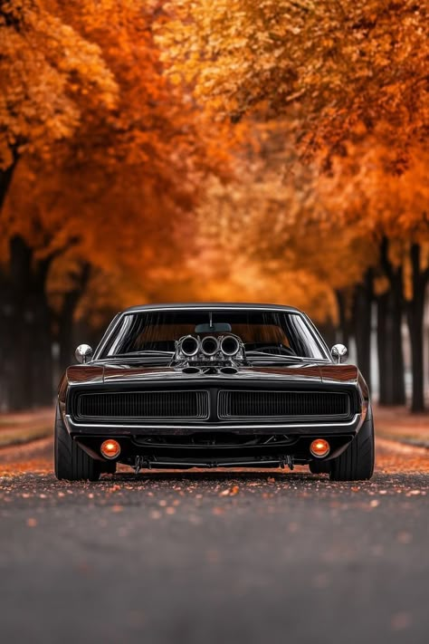 he epitome of muscle car dominance, this classic Dodge Charger with its aggressive supercharger and sleek black finish commands the road. Set against a stunning fall backdrop, it's a perfect blend of raw power and timeless style. A dream ride for every car enthusiast! 🍂🔥   #DodgeCharger #MuscleCar #FallAesthetic #CarLovers #ClassicCars Charger 1969 Dodge, Dodge 1970 Charger, 68 Dodge Charger Rt, Cars Dodge Charger, Old Style Cars, Dodge Charger 68, Retro Car Art, Black Dodge Charger, Dodge Charger 1970