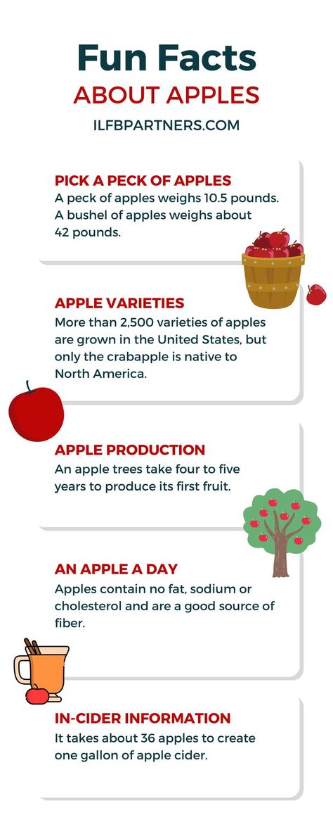 Farm Facts: Apples Apple Facts, Farm Facts, Fruit Store, Apple Varieties, Good Source Of Fiber, Apple A, Apple Fruit, Crab Apple, Apple Tree