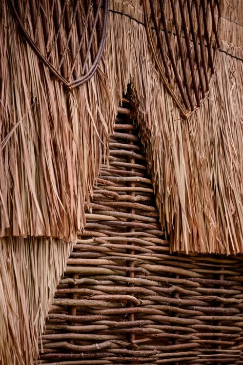 Flea Folly Architects completes False Banana Pavilion at Kew Wakehurst Willow Shields, Bamboo Building, Leaf Skirt, The Pavilion, Botanic Gardens, Color Spectrum, Park Homes, Banana Leaf, Birch Plywood