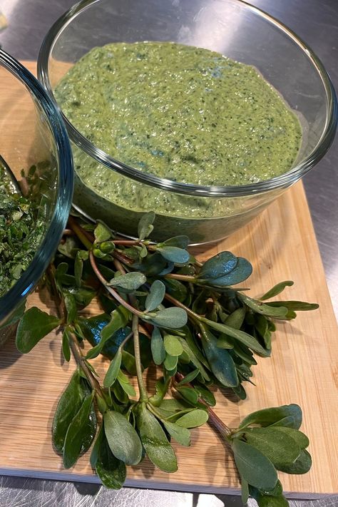 Canning Purslane, Pickled Purslane, Purslane Recipes, Purslane Recipe, Recipes Pesto, Urban Foraging, Fairytale Food, Edible Weeds, Special Dishes