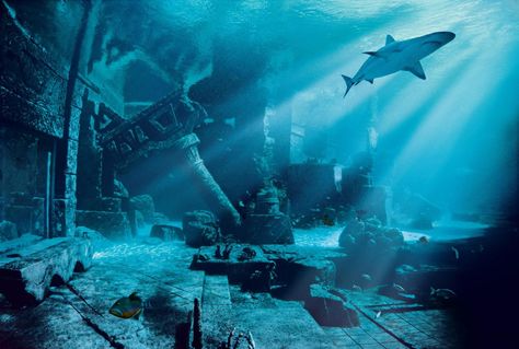 Wanna take a dip? (Ruins Lagoon - The Dig) Bahamas Snorkeling, Sunken Ruins, Underwater Ruins, Atlantis Resort, Lost City Of Atlantis, Atlantis Bahamas, Sunken City, Underwater City, Watercolor Architecture