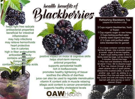 Blackberry Benefits, Blackberry Tea, Benefits Of Berries, Food Benefits, Healing Foods, Tea Benefits, Food Info, Organic Sugar, Nutritious Snacks